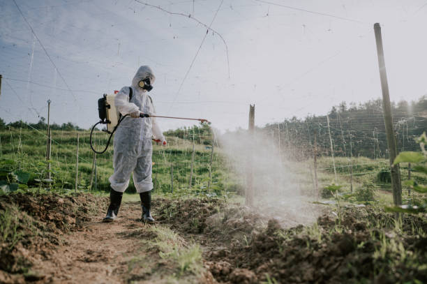Pest Prevention Services in Fort Deposit, AL