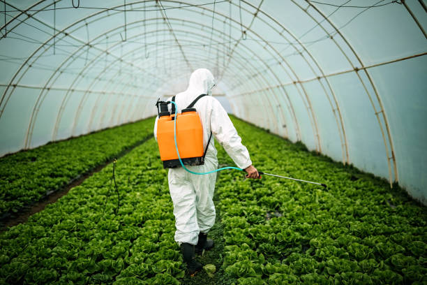 Best Pest Prevention Services  in Fort Deposit, AL