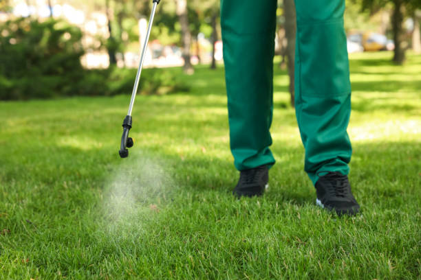 Best Mosquito Control Services  in Fort Deposit, AL