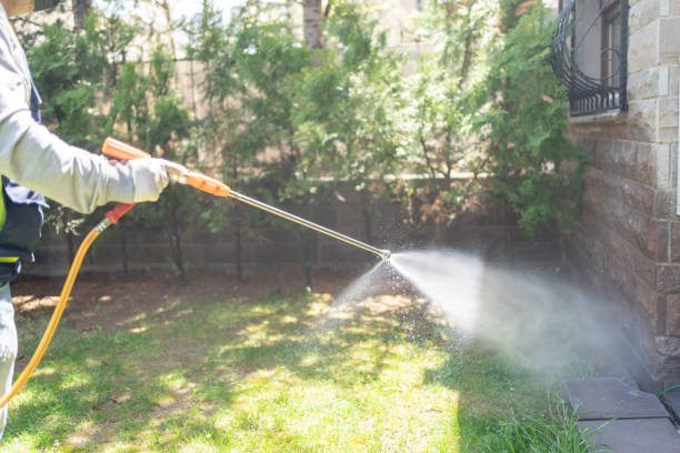 Best Bird Control  in Fort Deposit, AL