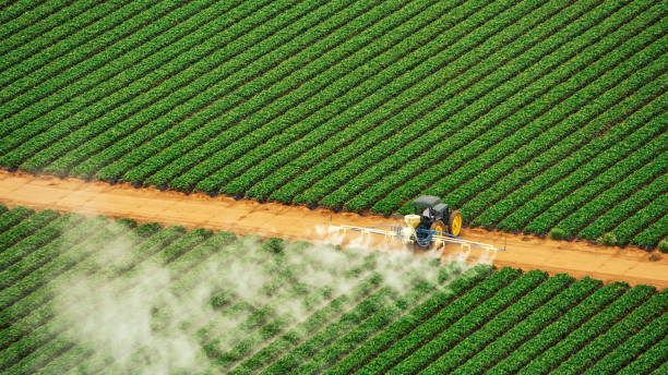Best Pest Control Near Me in Fort Deposit, AL