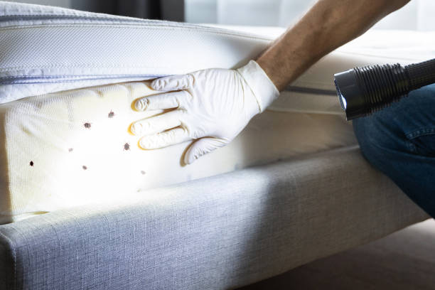 Best Insect Control  in Fort Deposit, AL