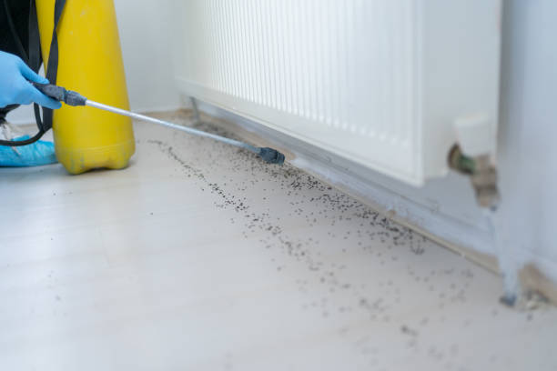 Best Pest Removal Services  in Fort Deposit, AL