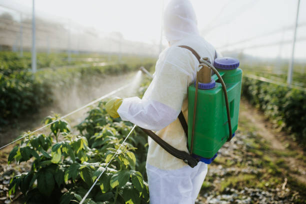 Best Best Pest Control Companies  in Fort Deposit, AL